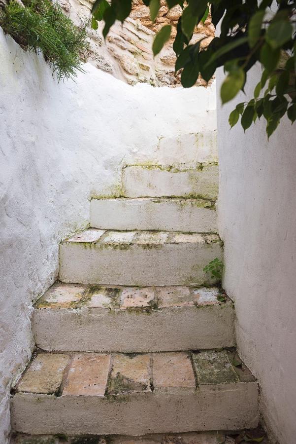 Vila Casa Lujan - Califa Casas Vejer Vejer de la Frontera Exteriér fotografie